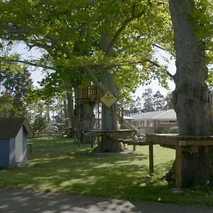 Te Aroha Holiday Park And Motels